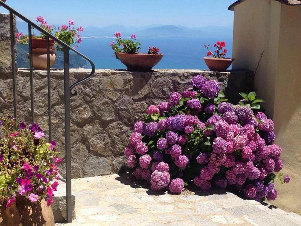 Guest House Malu Scala Εξωτερικό φωτογραφία
